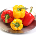 신선한 2~3색 파프리카 1.5kg / 7~9입 : 자연에더