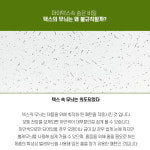 크나우프 집텍스 9.5T 천장 석고보드 보랄 텍스 : 남문건축자재