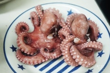 당일조업 국내산 통영 돌문어 700g 1kg 생문어 활문어 자숙문어 활돌문어 제수용 : 통영 83수산