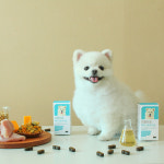 프롬더셀 강아지 퍼피전용 면역, 성장, 관절, 두뇌발달 도움 종합영양제 체험1박스 : 프롬더셀