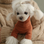 강아지옷 데일리강아지올인원 티셔츠 : 스타일멍멍