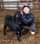 냄새없는 염소고기 3kg 호주산 흑염소고기 할랄 보신 : 진수네