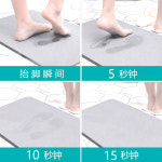 규조류 진흙 흡수 패드 하드 보드 사용자 정의 대형 문 미끄럼 방지 속건 화장실 욕실 바닥 매트 : 퍼니치드