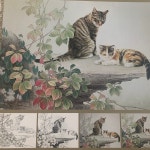 공필화책 공필묘 고양이2 채색화 공필화 민화 한국화서적 미술전문서적 : 은향필방