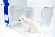 [CU메디칼] 강아지 고양이 산소방 렌탈 단기요금제 (1개월 단위) : 산소발생기 CU메디칼
