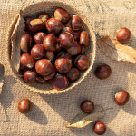 국산 청양 칠갑산 유기농 알밤 햇밤 옥광밤 생밤 2kg 4kg : 아란 마켓