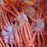 홑게 홍개 홍게홑게 대게택배 홍게시세 찜 자숙 동해 3kg : 니타컴퍼니