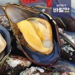 [바다한끼 바랄맛] 자연산 홍합 /섭,담치 : 바다한끼 바랄맛