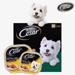 강아지 시저캔 쇠고기 닭고기 1박스(24개입) : 청춘개밥