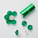 루이셀줄기세포쥐에스이-투아이에센스