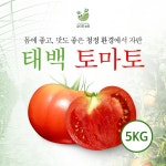 태백 고랭지 완숙 찰 동양종  토마토 5Kg : 숲이랑농원