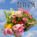 (정기구독)꽃 생화 정기배송 농장직송 플라워팜팜 화훼농가 생화택배 : 플라워팜팜