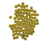 대성식물 싱싱바이오 식물영양제 알비료 고형비료 130g : 대성식물