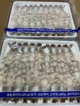 노바시새우 20미 460g 20팩 해성 튀김용 손질 냉동새우살 : 오늘의 식재료