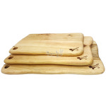 녹향 (캄포) 나무보드 (중) 395x225 : 주방용품몰 주용키친플러스