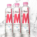 물마루 광천수 알칼리수 미네랄워터 알카리수 고급 페티병 혼합음료 500ml, 100개 : 웰빙 마켓