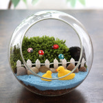 테라리움 키트 이끼 테라리움 만들기 DIY 재료 : 비오스샵