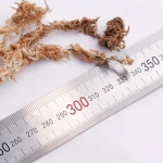 뉴질랜드 청정수태 100g 호접란 풍란 양란 난 분갈이 삽목 뉴질랜드산 : 모두의가든