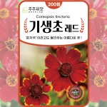 기생초 씨앗 200립 선홍색 레드 애기금계국 춘자국 종자 꽃씨 몰 봄 여름 가을 파종 : 주주씨앗