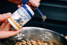 강아지치석제거가루 프로덴 플라그오프 파우더 40g : 아부티유