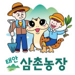 태안 삼촌농장 싹튀운 국산 생강 씨 종자 10Kg : 삼촌농장