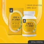 콘도로이친1200 구절초 콘드로이친황산 콘드리친 : 헬시파머