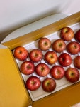 3kg 5kg 청송사과 부사 꿀 고당도 못난이 설 과일 선물세트 선물용 [미시마/미얀마] : 귀금향