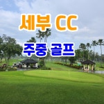 [세부골프] 세부컨트리클럽 주중일일골프부킹 (그린피 캐디피 전동카포함) : KR트래블