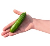 그린몬스터즈 미니오이 오이 750g  10개 내외 산지직송 당일수확 : 그린몬스터즈