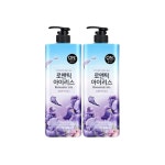온더바디 플라워 바디워시 아이리스 900g 2개 : 연화스토어