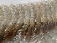 HACCP 인증 국산 깐새우 칵테일새우 고창 산지직송 흰다리새우 왕새우 대하 급속냉동 : 단새우농장
