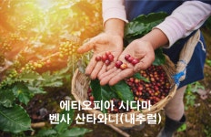 에티오피아 시다마 벤사 산타와니 (내추럴) 원두 100g : 제주 마노커피하우스