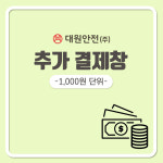 [추가결제창] 1,000원 : 대원안전 주식회사