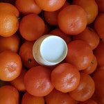 [제주의 맛과 향] 한아름 마켓 제주 산지직송 고당도 명품 신품종 산하홍(홍귤) 5kg 10kg : 한아름 마켓