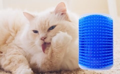 이룸하우스 고양이 셀프 그루밍 브러쉬 : 이룸 하우스