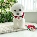 강아지 크리스마스 케이프 고양이 스카프 산타 : 댕댕스