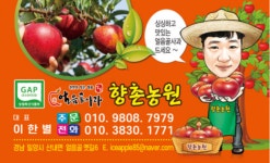밀양 얼음골사과 꿀사과 부사 5kg 10kg : 얼음골 향촌농원