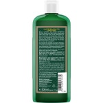 로고나 샴푸 비어&허니 볼륨 샴푸 500ml : 저먼데일리