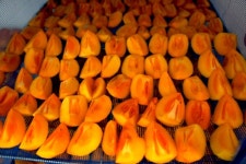 상주에서 정성껏 말린 감말랭이 1kg / 2kg : 중정상회