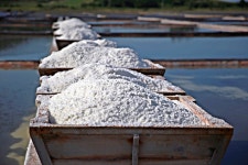 은화 국산 신안 증도 염전 천일염 굵은소금 20kg : 은화또바기