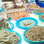 [손가 통낙지볶음] 마산어시장 양념 낙지볶음 간편요리 술안주 통낙지 밀키트 450g : 손가 푸드