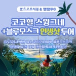 코타키나발루 코코힐 투어 + 블루모스크 (인생샷 ! 인스타투어 ! 조인 현지인가이드 픽업 샌딩 현지투어) : 렛츠고트래블