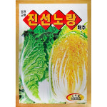 미소화원농장 진선 속노랑 김장 포기 배추 씨앗 1000립 : 미소화원농장