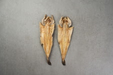 인제5대명품 용대리 황태포 10미 (특왕 44~46cm) 자연건조 국내가공 : 인제5대명품 용대리황태