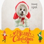 강아지 애견 크리스마스 산타 트리 망토 겨울옷 코스프레 : 효견