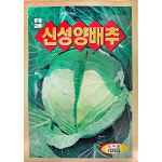 미소화원농장 양배추 씨앗 100립 : 미소화원농장