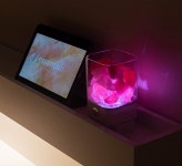 감성 인테리어 불멍 아로마 디퓨저 무드등 2색 5가지향 : 더비츠로