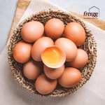 프레그 동물생태학 홍유신이 생산한 동물복지 유정란 40구, 1개 : 프리본 몰