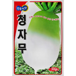 미소화원농장 김장무 청자무 가을무 씨앗 30g : 미소화원농장
