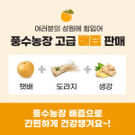 과즙팡팡 고당도 햇과일 신고 추황 원황 배 배즙 가정용 업소용 선물세트 5kg 7.5kg 15kg : 풍수농장